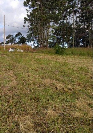 Imagem Imóvel à Venda, 65 m² em Centro - Gonçalves Imagem Imóvel à Venda, 65 m² em Centro - Gonçalves