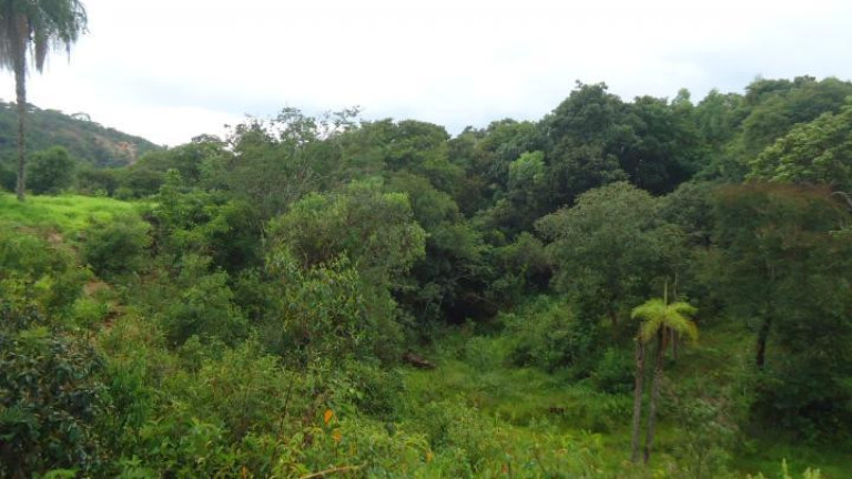 Imagem Fazenda à Venda, 60 m² em Azurita - Mateus Leme