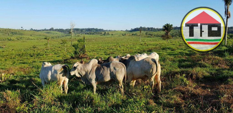 Imagem Fazenda à Venda, 17.085.200 m² em Zona Rural - Itupiranga Imagem Fazenda à Venda, 17.085.200 m² em Zona Rural - Itupiranga