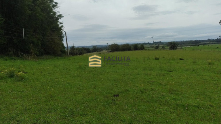 Imagem Imóvel com 3 Quartos à Venda, 660.000 m² em Hidráulica - Capão Do Leão Imagem Imóvel com 3 Quartos à Venda, 660.000 m² em Hidráulica - Capão Do Leão