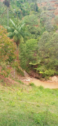 Imagem Chácara à Venda, 30.000 m² em Santa Maria De Marechal - Marechal Floriano