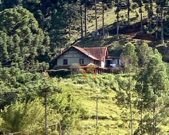 Imagem Fazenda à Venda, 3.030.000 m² em Biguá - Delfim Moreira