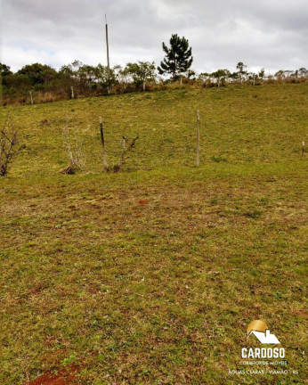 Imagem Imóvel com 3 Quartos à Venda, 80.000 m² em Estância Grande - Viamão