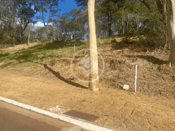 Imagem Terreno à Venda, 3.392 m² em Residencial Aldeia Do Vale - Goiânia Imagem Terreno à Venda, 3.392 m² em Residencial Aldeia Do Vale - Goiânia
