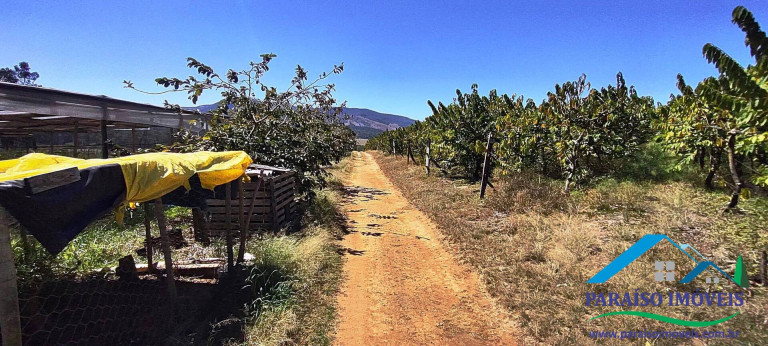 Imagem Chácara à Venda, 43 m² em Centro - Paraisópolis
