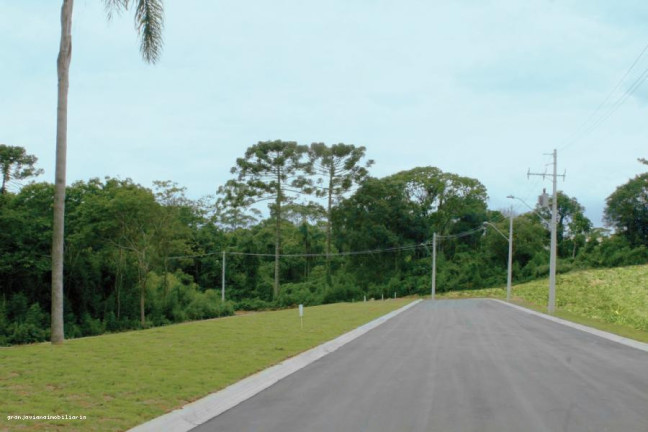 Imagem Terreno à Venda, 501 m² em Reserva Samambaia - Cotia Imagem Terreno à Venda, 501 m² em Reserva Samambaia - Cotia