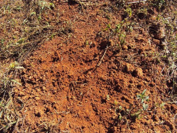 Imagem Imóvel com 2 Quartos à Venda, 266.200 m² em Zona Rural - Jacui