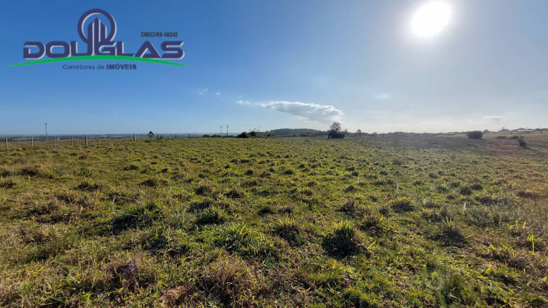 Imagem Chácara à Venda, em Viamão Imagem Chácara à Venda, em Viamão