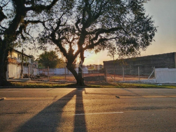 Imagem Terreno à Venda,  em Vila Jardim - Porto Alegre