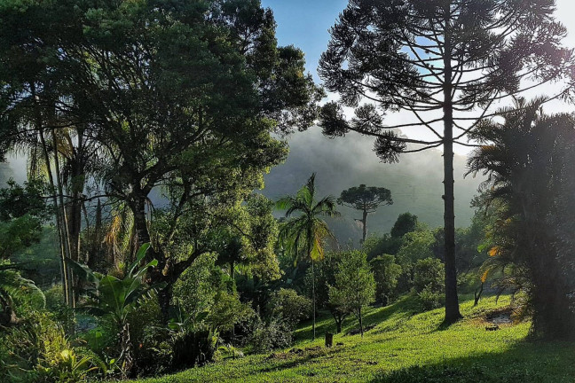 Imagem Chácara à Venda, 330 m² em Palhoça Imagem Chácara à Venda, 330 m² em Palhoça