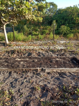 Imagem Imóvel com 2 Quartos à Venda, em Rural - Canavieiras Imagem Imóvel com 2 Quartos à Venda, em Rural - Canavieiras