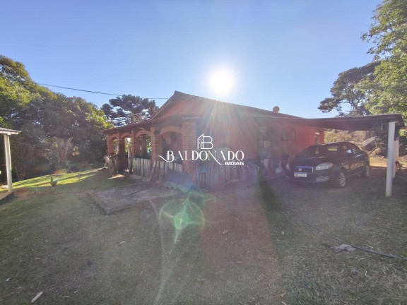 Imagem Imóvel com 3 Quartos à Venda, 18.000 m² em Centro - Munhoz Imagem Imóvel com 3 Quartos à Venda, 18.000 m² em Centro - Munhoz