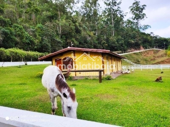 Imagem Chácara com 4 Quartos à Venda, 17.000 m² em Cachoeirinha - Bom Jesus Dos Perdões