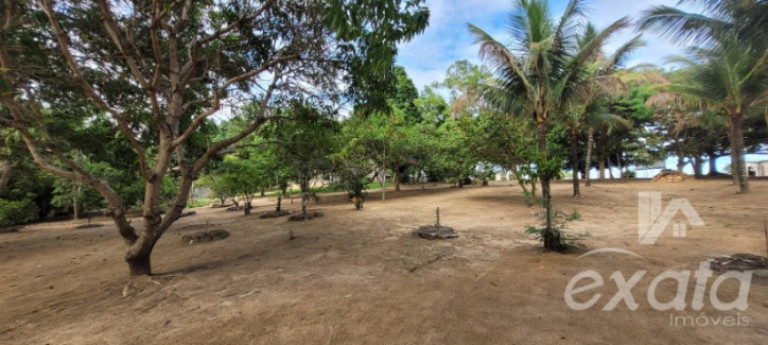 Imagem Chácara com 2 Quartos à Venda, 150 m² em Marbella - Serra Imagem Chácara com 2 Quartos à Venda, 150 m² em Marbella - Serra