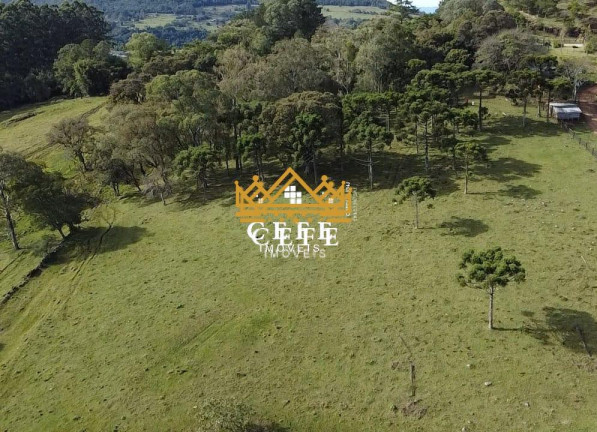 Imagem Sala Comercial à Venda, 20 m² em Zona Rural - Igrejinha Imagem Sala Comercial à Venda, 20 m² em Zona Rural - Igrejinha