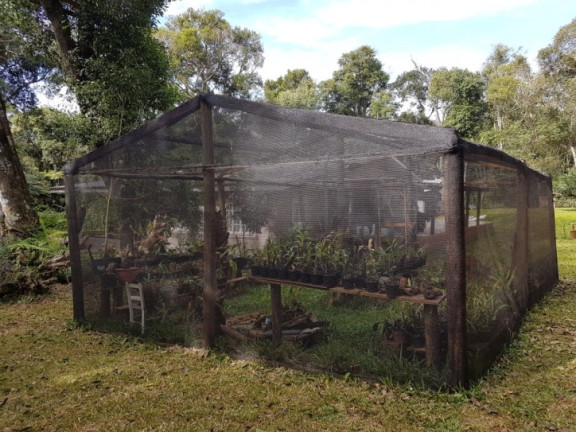 Imagem Chácara com 3 Quartos à Venda, 8.000 m² em Zona Rural - Cascavel