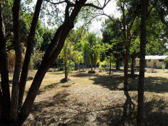 Imagem Terreno à Venda, 35.500 m² em Vila De Abrantes (abrantes) - Camaçari Imagem Terreno à Venda, 35.500 m² em Vila De Abrantes (abrantes) - Camaçari