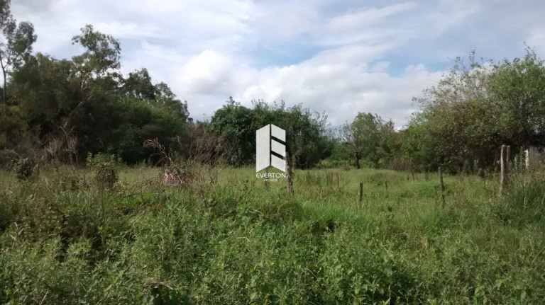 Imagem Fazenda à Venda, 140.000 m² em Zona Rural - Santa Maria Imagem Fazenda à Venda, 140.000 m² em Zona Rural - Santa Maria
