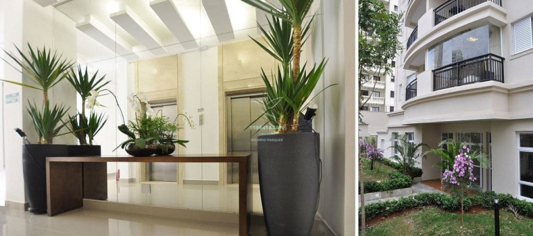 Imagem Apartamento com 2 Quartos à Venda, 70 m² em Chácara Inglesa - São Paulo Imagem Apartamento com 2 Quartos à Venda, 70 m² em Chácara Inglesa - São Paulo