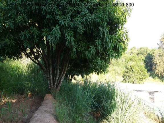Imagem Terreno à Venda, 2.000 m² em Bela Fama - Nova Lima