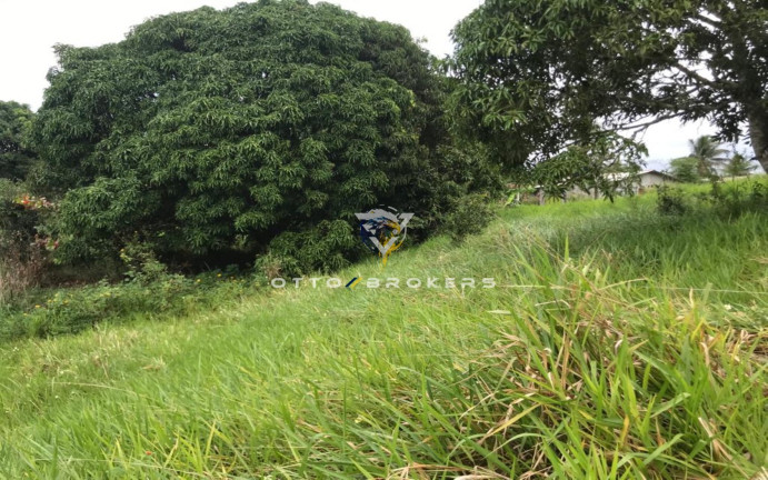Terreno à Venda, 7.500 m² em Tânia - Santa Cruz Cabrália