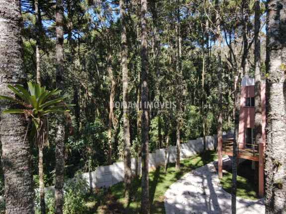 Imagem Casa com 3 Quartos à Venda, 190 m² em Região Do Parque Pedra Do Baú - Campos Do Jordão Imagem Casa com 3 Quartos à Venda, 190 m² em Região Do Parque Pedra Do Baú - Campos Do Jordão