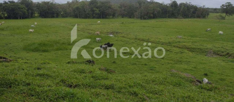 Imagem Fazenda à Venda, 90 m² em Braço Grande - Miracatu Imagem Fazenda à Venda, 90 m² em Braço Grande - Miracatu