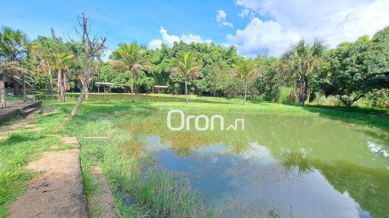 Imagem Chácara com 4 Quartos à Venda, 46.000 m² em Trindade - Trindade Imagem Chácara com 4 Quartos à Venda, 46.000 m² em Trindade - Trindade