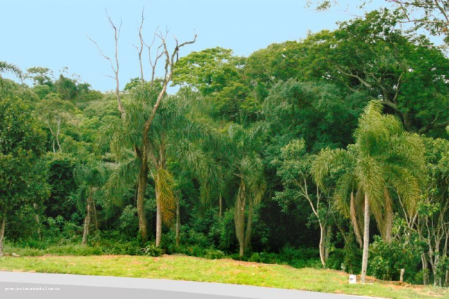 Imagem Terreno à Venda, 501 m² em Reserva Samambaia - Cotia Imagem Terreno à Venda, 501 m² em Reserva Samambaia - Cotia