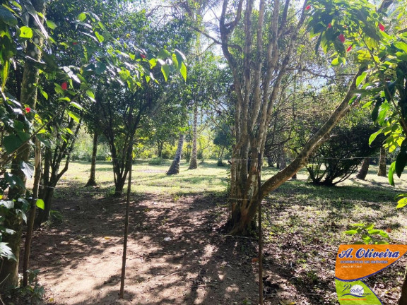 Imagem Chácara com 1 Quarto à Venda, 100 m² em Ubatumirim - Ubatuba Imagem Chácara com 1 Quarto à Venda, 100 m² em Ubatumirim - Ubatuba