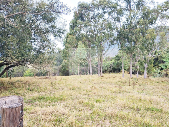Imagem Imóvel com 3 Quartos à Venda, 23.000 m² em São Marcos - Bofete Imagem Imóvel com 3 Quartos à Venda, 23.000 m² em São Marcos - Bofete