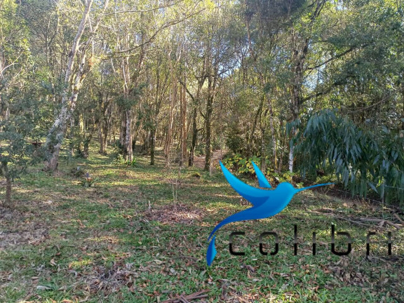 Imagem Chácara com 2 Quartos à Venda, 6.000 m² em Palmital - Agudos Do Sul Imagem Chácara com 2 Quartos à Venda, 6.000 m² em Palmital - Agudos Do Sul