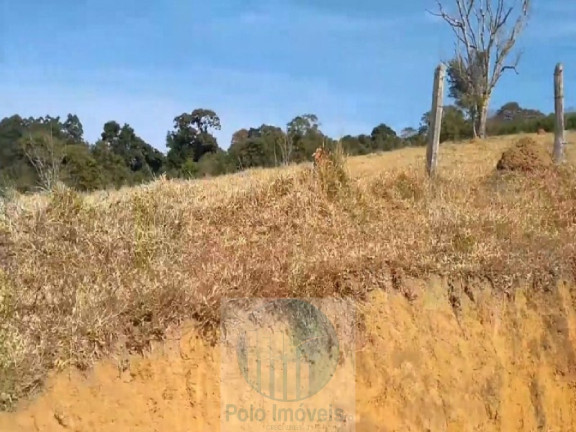 Imagem Imóvel com 4 Quartos à Venda, 540.628 m² em Zona Rural - Biguatinga