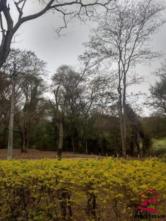Imagem Imóvel com 3 Quartos à Venda, 144 m² em Sitio Bela Vista - Novo Horizonte