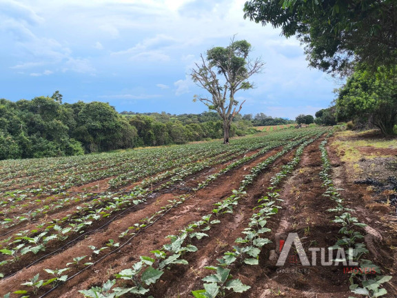 Fazenda à Venda, 47 m² em Morro Redondo - Monte Santo De Minas
