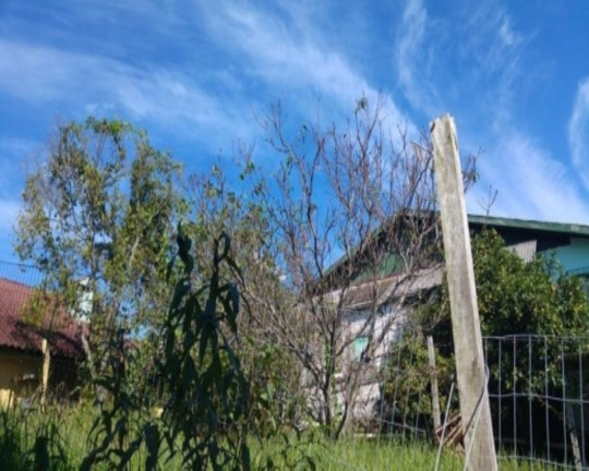 Imagem Casa com 3 Quartos à Venda, 100 m² em Pousada Da Neve - Nova Petrópolis Imagem Casa com 3 Quartos à Venda, 100 m² em Pousada Da Neve - Nova Petrópolis