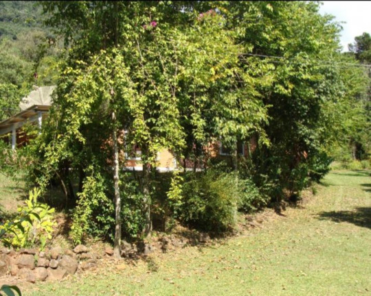 Imagem Imóvel à Venda, em Linha Pirajá Baixa - Nova Petrópolis Imagem Imóvel à Venda, em Linha Pirajá Baixa - Nova Petrópolis
