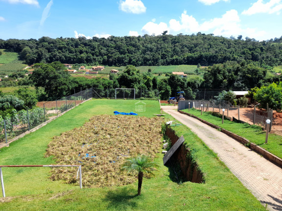 Imagem Imóvel com 6 Quartos à Venda, 2.800 m² em Marambaia (rural) - Bandeira Do Sul Imagem Imóvel com 6 Quartos à Venda, 2.800 m² em Marambaia (rural) - Bandeira Do Sul
