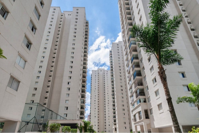 Imagem Apartamento com 3 Quartos à Venda, 81 m² em Vila Amélia - São Paulo Imagem Apartamento com 3 Quartos à Venda, 81 m² em Vila Amélia - São Paulo