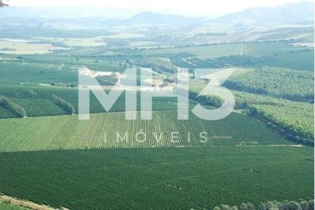 Imagem Imóvel com 8 Quartos à Venda, 5.300 m² em Centro - Piumhi Imagem Imóvel com 8 Quartos à Venda, 5.300 m² em Centro - Piumhi