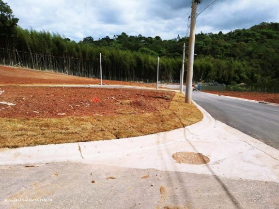 Imagem Terreno à Venda, 125 m² em Terra Noble - Cotia Imagem Terreno à Venda, 125 m² em Terra Noble - Cotia