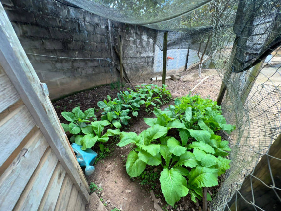 Imagem Chácara com 1 Quarto à Venda, 5.600 m² em Centro - Igarapé Imagem Chácara com 1 Quarto à Venda, 5.600 m² em Centro - Igarapé