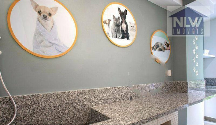 Imagem Apartamento com 2 Quartos à Venda, 49 m² em Campo Limpo - São Paulo Imagem Apartamento com 2 Quartos à Venda, 49 m² em Campo Limpo - São Paulo