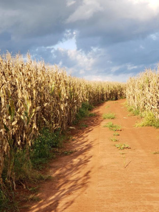 Imagem Fazenda à Venda, 2.178 m² em Rural - Itaí