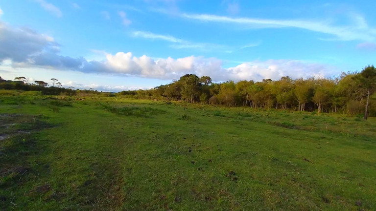 Imagem Imóvel à Venda, 32.800 m² em Ambrósio - Tijucas Do Sul Imagem Imóvel à Venda, 32.800 m² em Ambrósio - Tijucas Do Sul