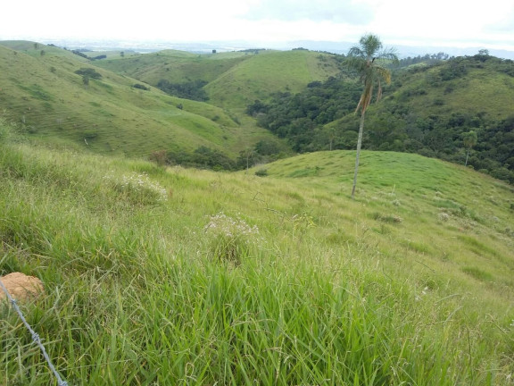 Imagem Fazenda à Venda, 100 m² em Centro - Taubaté Imagem Fazenda à Venda, 100 m² em Centro - Taubaté