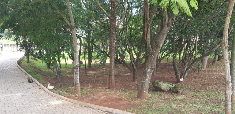 Imagem Casa com 4 Quartos à Venda ou Locação, 396 m² em Condomínio Tivoli - Sorocaba