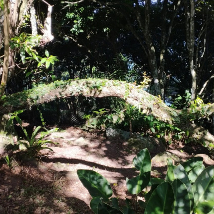 Imagem Terreno à Venda,  em Praia Do Estaleirinho - Balneário Camboriú