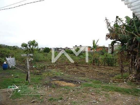 Imagem Terreno à Venda, 6.000 m² em Jardim Presidente Dutra - Guarulhos Imagem Terreno à Venda, 6.000 m² em Jardim Presidente Dutra - Guarulhos