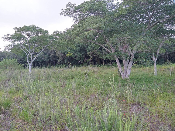 Imagem Chácara à Venda, 20.000 m² em águas Claras - Viamão